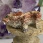 Mini LION Stone Carving Figurine Steatite Soapstone Carved Cat Animal Figure 1.5