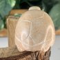 Kisii Soapstone Carved TURTLE Figurine Stone Tortoise Carving Animal Figure 3.3â