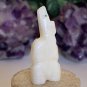 Zuni Bear Fetish Carving Figurine Standing Bear Turquoise Eyes Signed Bacy 1.75"
