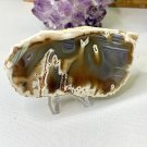 Plume Tube Waterline Agate Slab Slice Polished Stick Agates W Stand 4.8" 227g