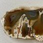 Plume Tube Waterline Agate Slab Slice Polished Stick Agates W Stand 4.8" 227g