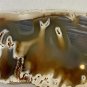 Plume Tube Waterline Agate Slab Slice Polished Stick Agates W Stand 4.8" 227g