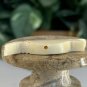 Armadillo Bone Bead Fetish Animal Carving Drilled Hand Carved Mammal 1.4" x .5"