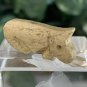 Beige Bear Bone Bead Fetish Animal Carving Drilled Hand Carved Mammal 1.1" x .5"