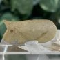 Beige Bear Bone Bead Fetish Animal Carving Drilled Hand Carved Mammal 1.1" x .5"