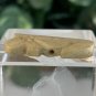 Beige Bear Bone Bead Fetish Animal Carving Drilled Hand Carved Mammal 1.1" x .5"