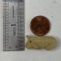 Beige Bear Bone Bead Fetish Animal Carving Drilled Hand Carved Mammal 1.1" x .5"