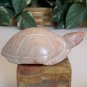 Kisii Soapstone Carved TURTLE Figurine Stone Reptile Carving Animal Figure 4"
