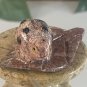 Miniature LADYBUG Stone Carving Mini BEETLE Figurine Steatite Soapstone Insect