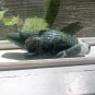 6.2"ALLIGATOR Moss Agate Carved Crystal Lizard Rock Stone Reptile Animal 1.3LBS