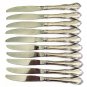 Oneida Mansfield  Rogers Deluxe Amadeus 10 Glossy Dinner Knives Stainless Set 9"
