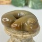 Chinese Jade Pig Dragon Netsuke Carved Pendant Toggle Amulet Zhulong Carving 1.8