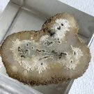 Stalactite Slice Polished Crystal Display Specimen Las Torres Mine Uruguay 1.4"