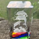 Crystal Dolphin Paperweight 3D Laser Etched Colorful Souvenir Fish KURE BEACH NC