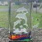 Crystal Dolphin Paperweight 3D Laser Etched Colorful Souvenir Fish KURE BEACH NC