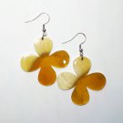 Horn earrings - Buffalo horn earrings - buffelhoorn oorhangers KAI-2744