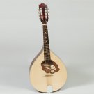 Muzikkon Mandola