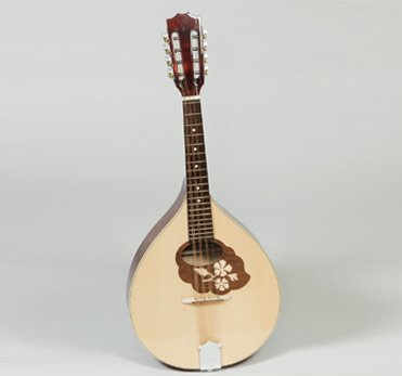 Muzikkon Mandola