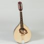 Muzikkon Mandola