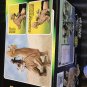 Star Wars Ronto and Jawa Action Figure 1997 Kenner Power of the Force New in Box