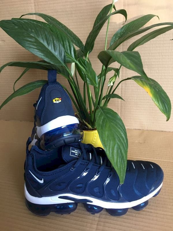 vapormax plus blue white