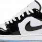 Air Jordan 1 Low SE Concord DV1309 100