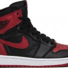 Mens Wmns Air Jordan 1 Retro High OG NRG Homage to Home 861428 061