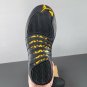 Jordan 12 Black Golden
