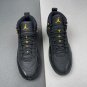 Jordan 12 Black Golden