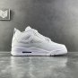 Men & Wmns Air Jordan 4  Retro Pure Money (2017)
