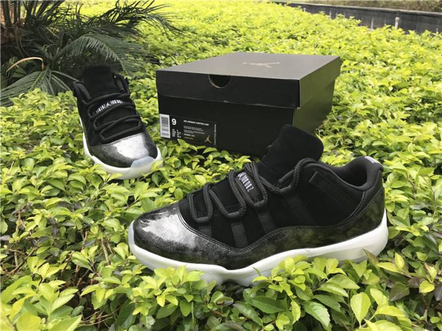 Men & Wmns Air Jordan 11 Low Barons