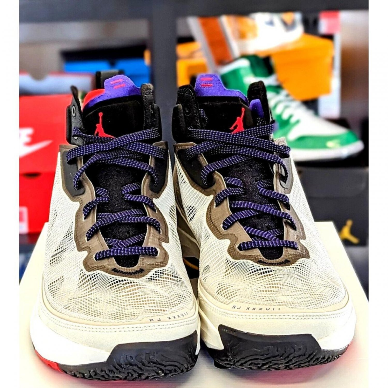 Men & Wmns Jordan 37 Light Bone Dark Concord