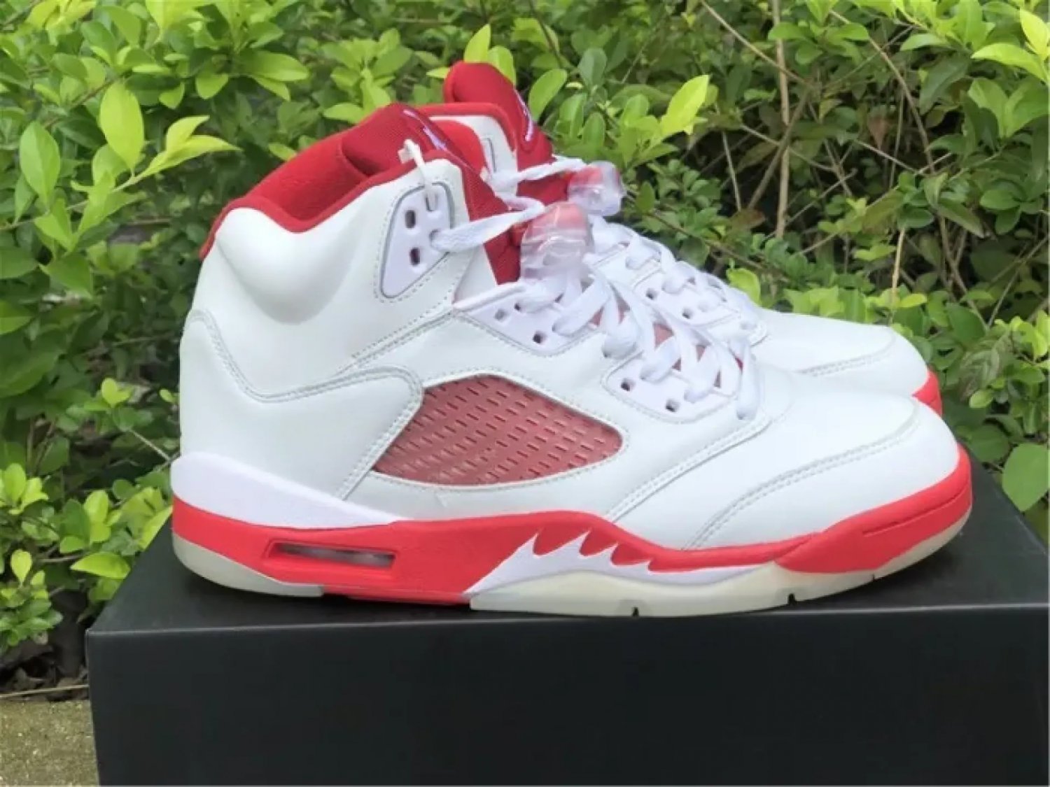 Men & Wmns Jordan 5 Pink Foam