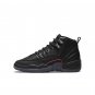 Men & Wmns Jordan 12 Retro Utility (GS) DM5204-006