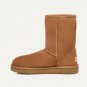Womens UGG Chestnut classic boots