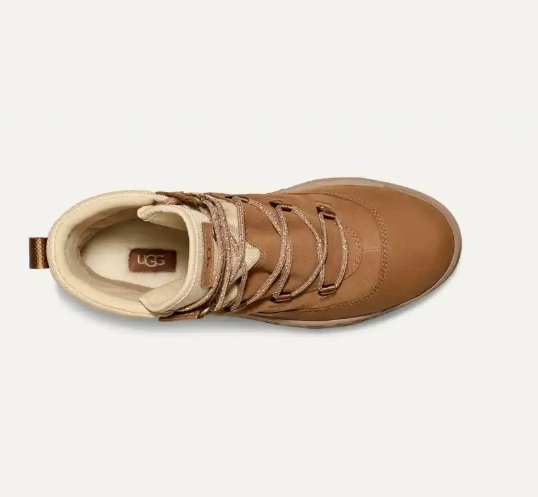 Women's TerreTrail Hi-Top