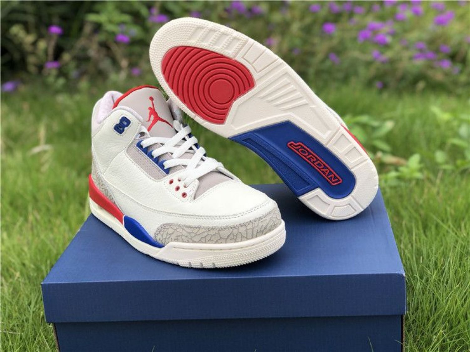 Air Jordan 3 International Flight