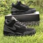 Air Jordan 3 Tinker Black Cat