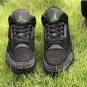 Air Jordan 3 Tinker Black Cat