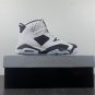 Air Jordan 6 Retro Oreo White Black