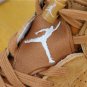 Air Jordan 6 Wheat Golden Harvest Sail