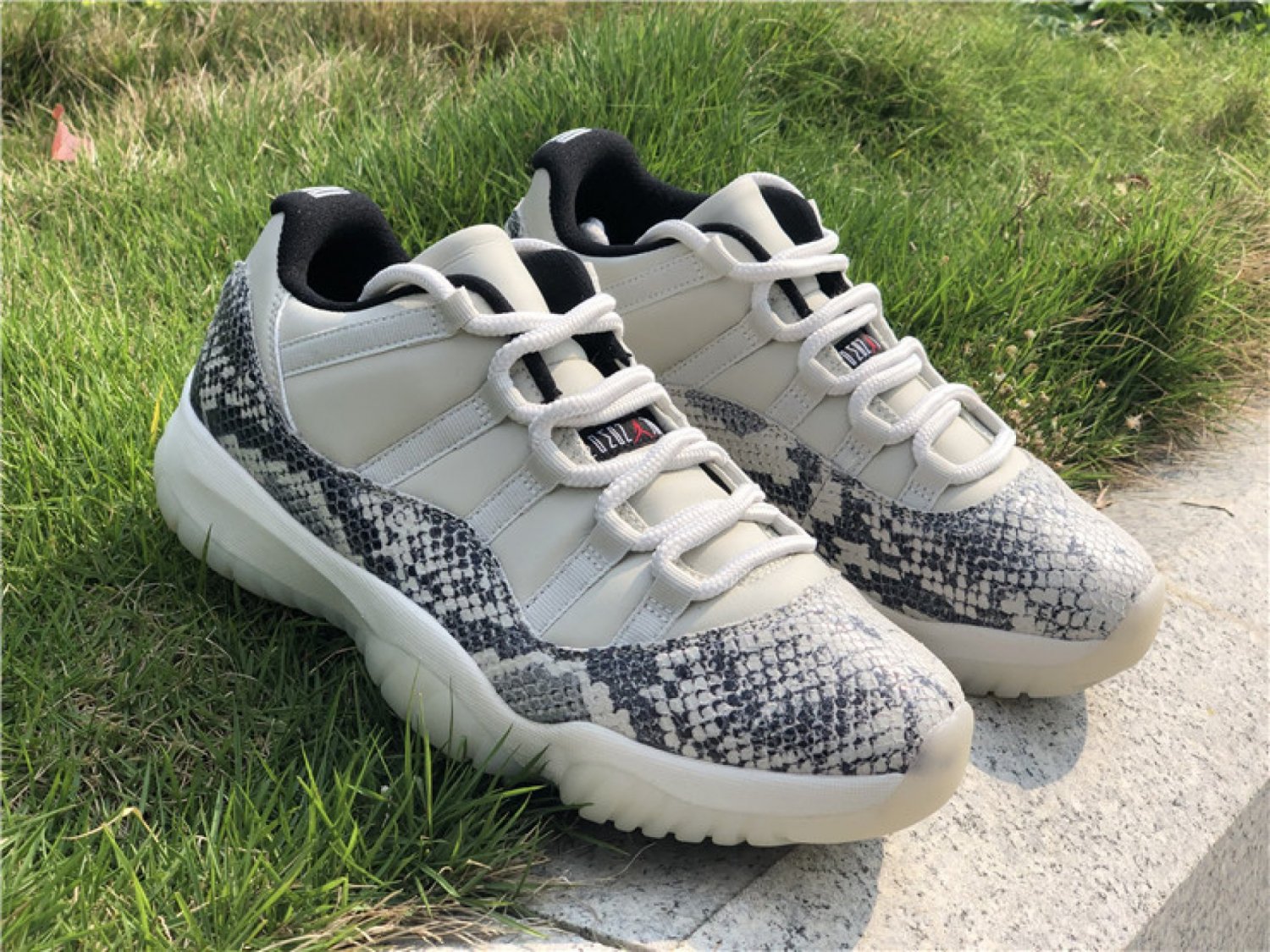 Air Jordan 11 Low &acirc;��Snakeskin&acirc;�� Light BoneUniversity Red-Sail-Black