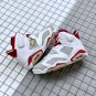 Jordan 6 Retro Alternate Hare
