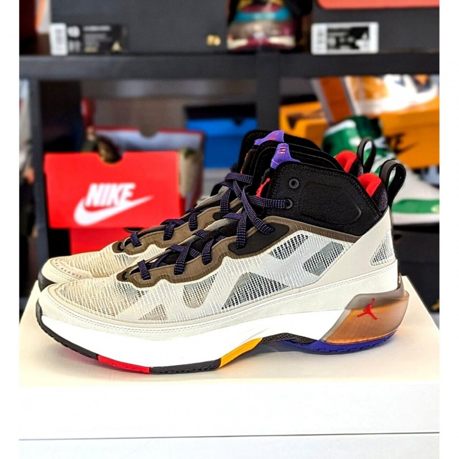 Jordan 37 Light Bone Dark Concord