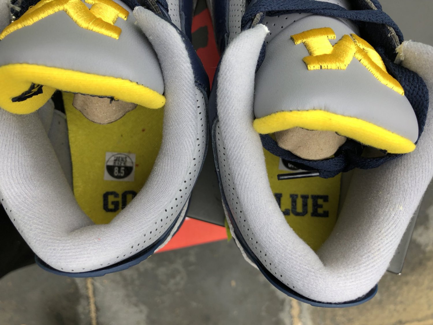 NEW   Jordan 3 Michigan PE