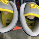 NEW   Jordan 3 Michigan PE