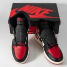 NEW Jordan 1 Retro High Bred Toe_6
