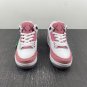NEW Kaws X   Jordan 3 GS White Pink