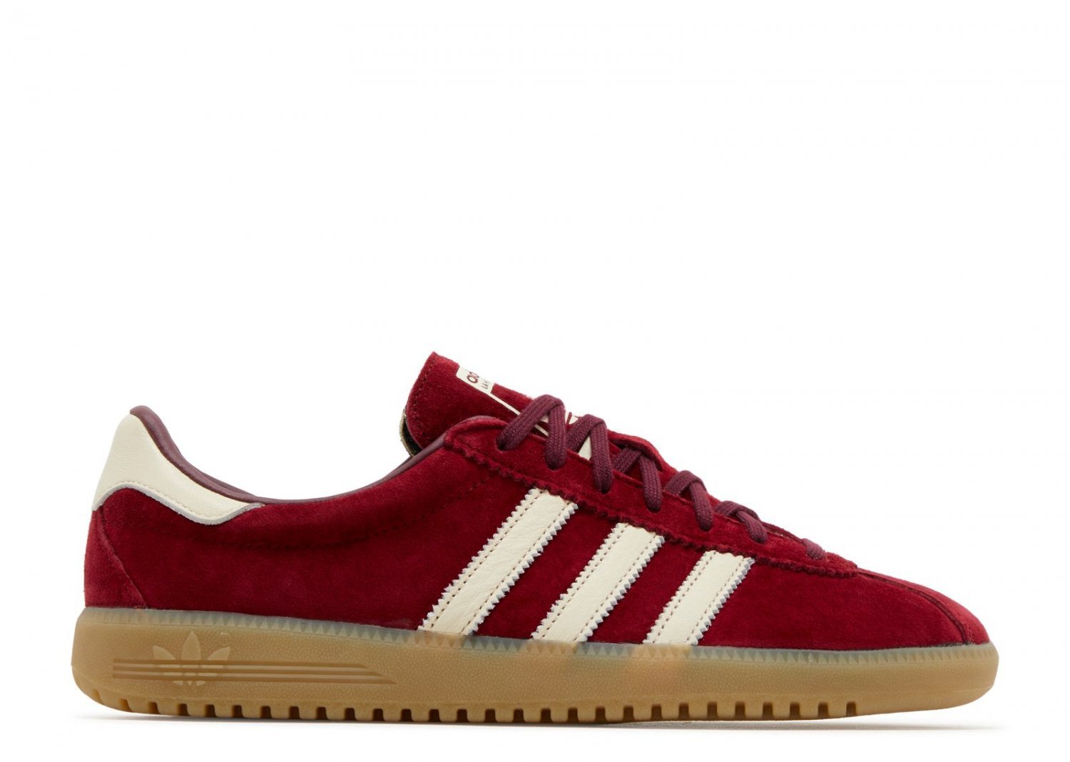 2024 Bermuda Collegiate Burgundy