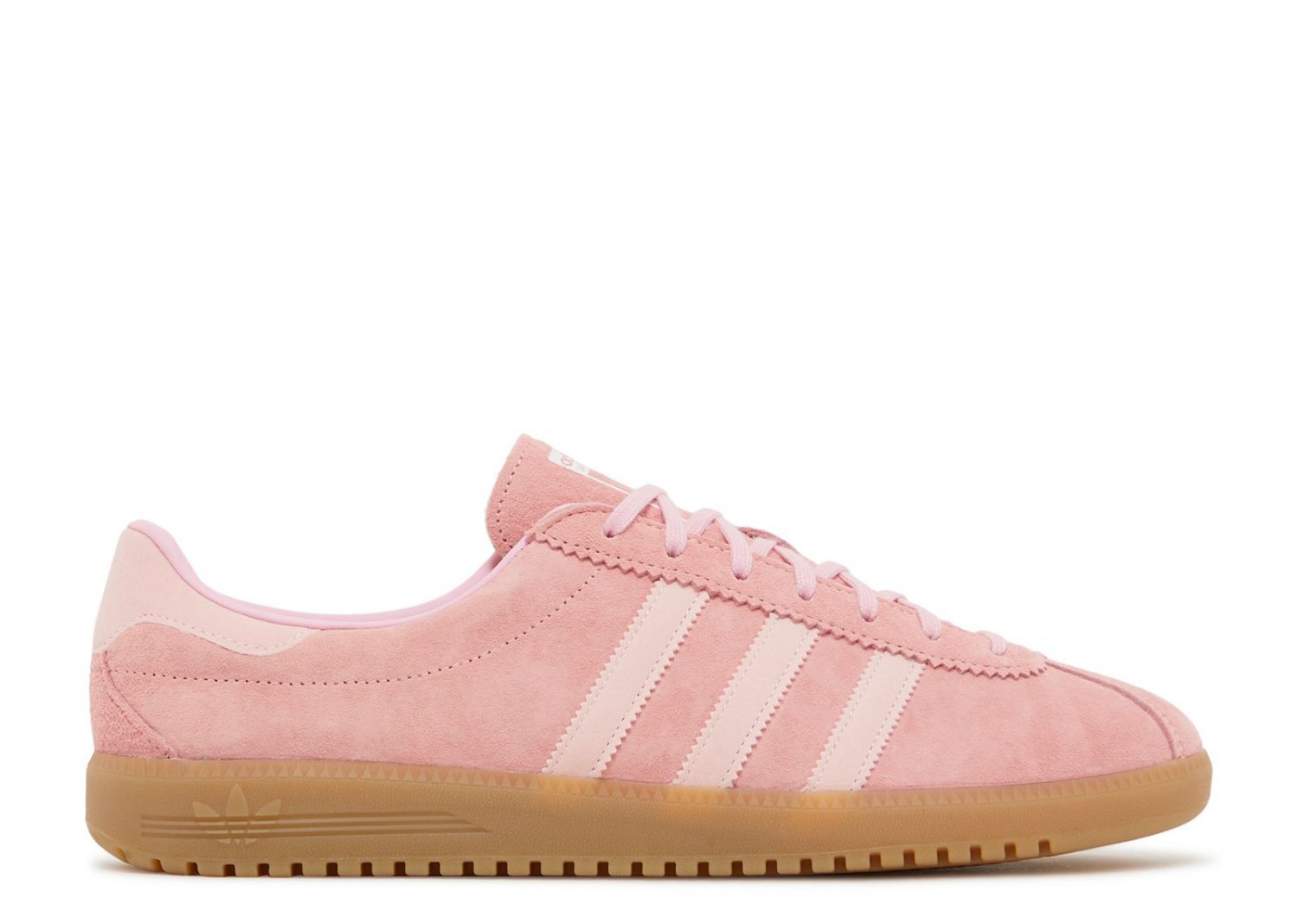 2024 Bermuda Glow Pink